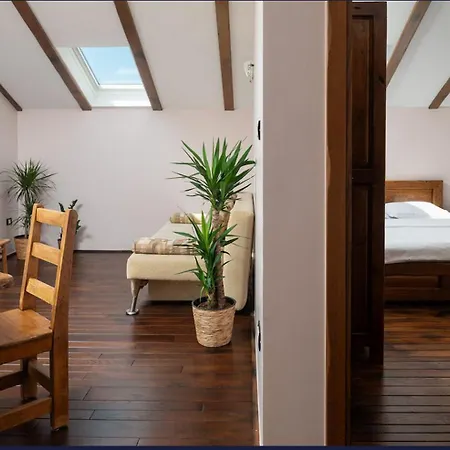 Super Villa In Zadar, Free Parking ザダル